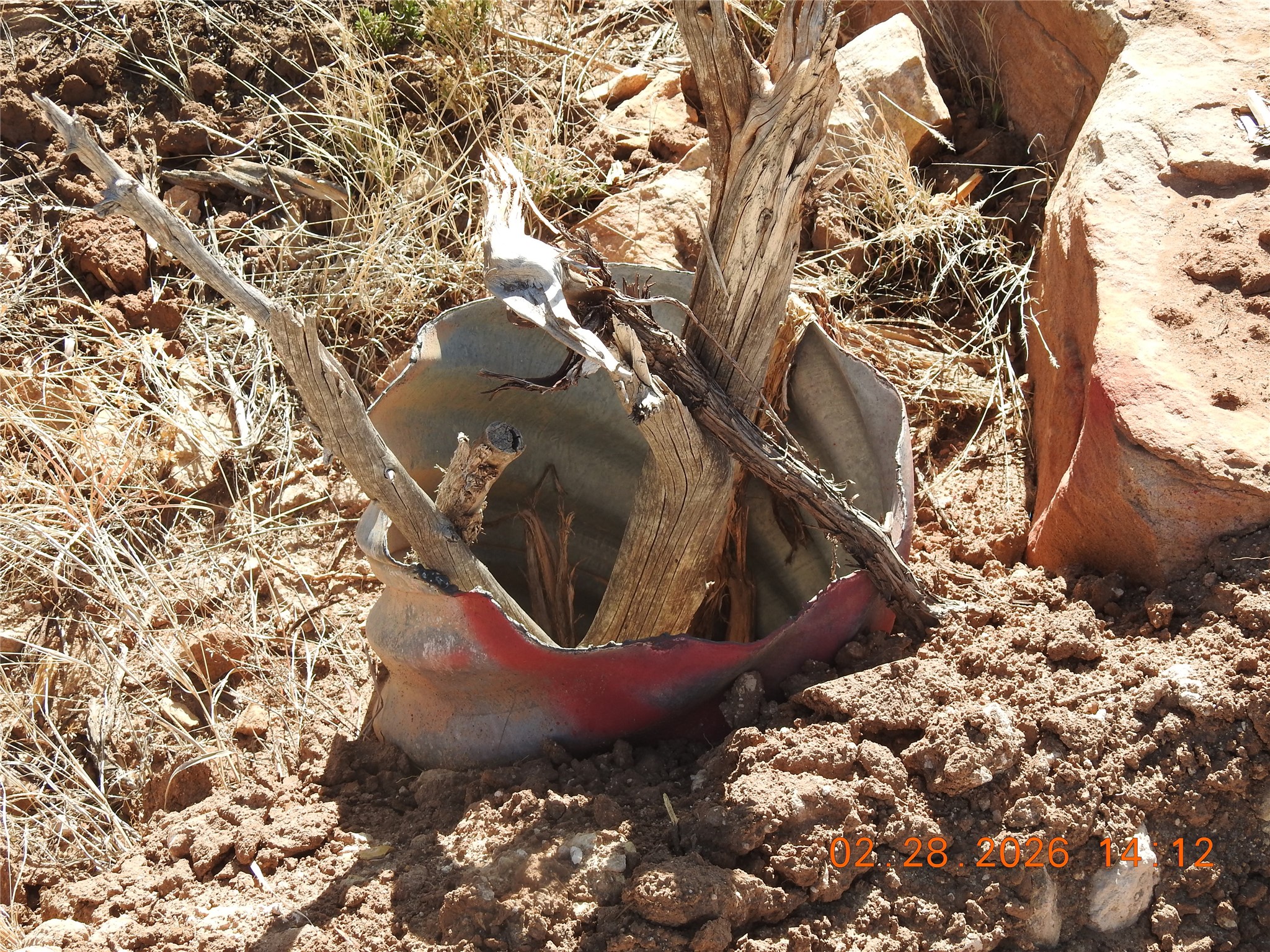 305 A Cr Ribera, NM 87560 - Photo 17 of 23