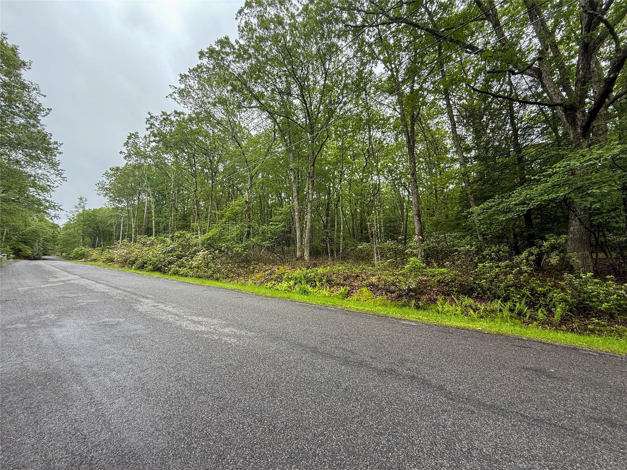 Old Sackett Road Rock Hill, NY 12775 - Photo 2 of 4 a view of outdoor space and yard