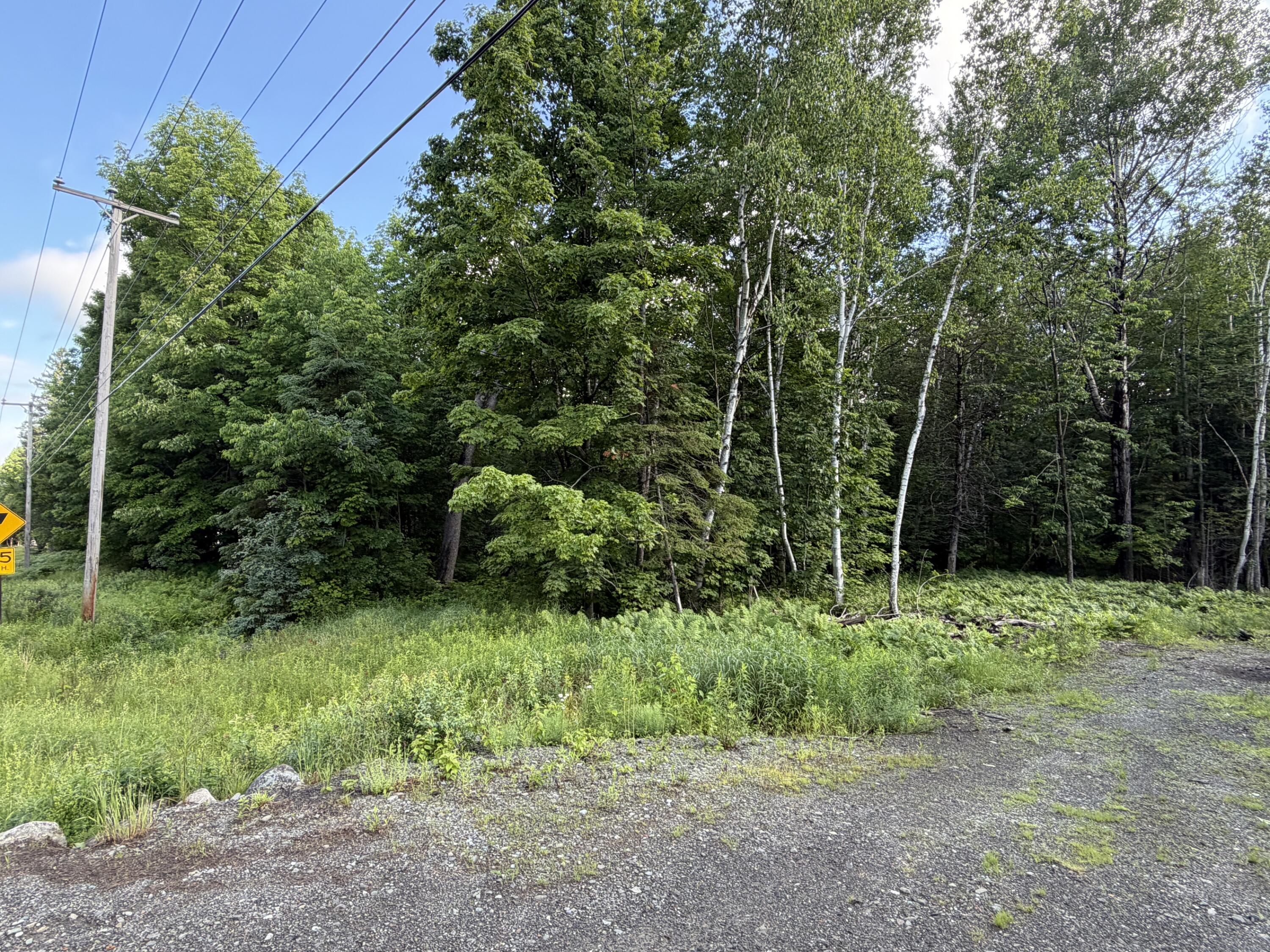 47 Greenville Road, Unit LOT 1 Shirley, ME 04485 - Photo 3 of 6