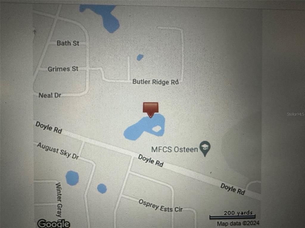 Doyle Road Osteen, FL 32764 - Photo 4 of 4