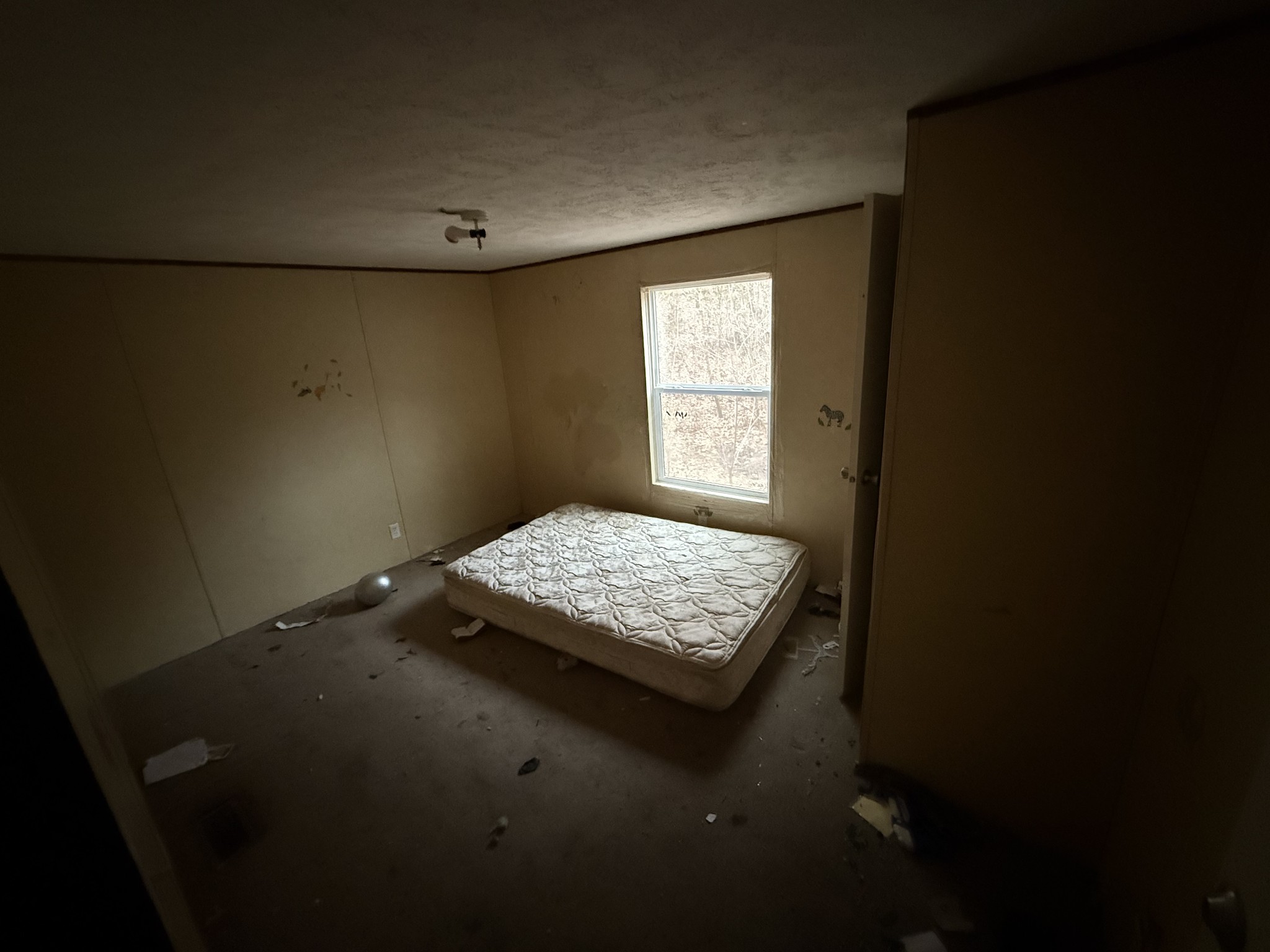 3320 Trace Creek Road White Bluff, TN 37187 - Photo 5 of 11 a view of an empty room and window