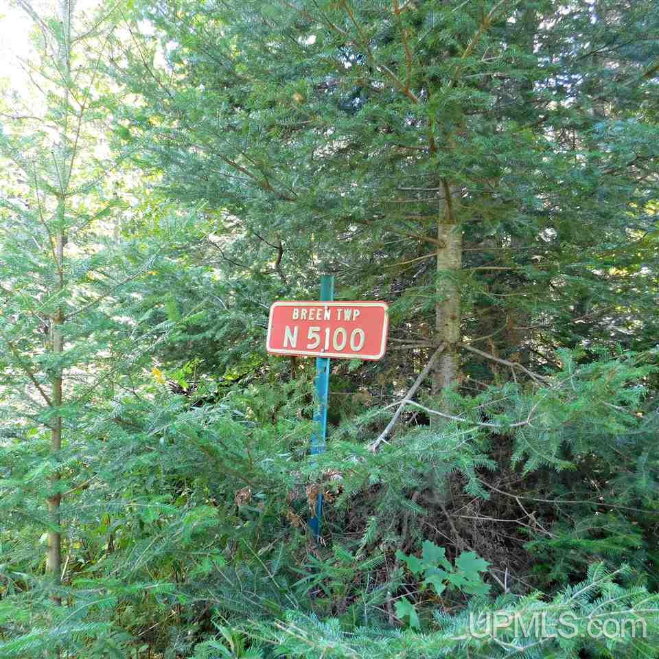 5100 Unnamed Woods Road Osseo, MI 54758 - Photo 2 of 33