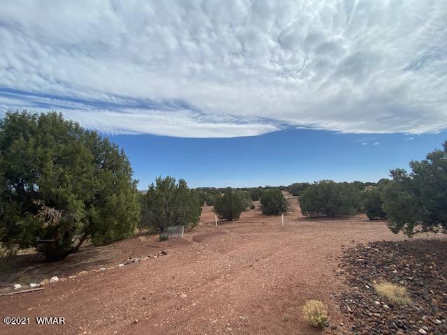 20 County Road Concho, AZ 85924 - Photo 83 of 84