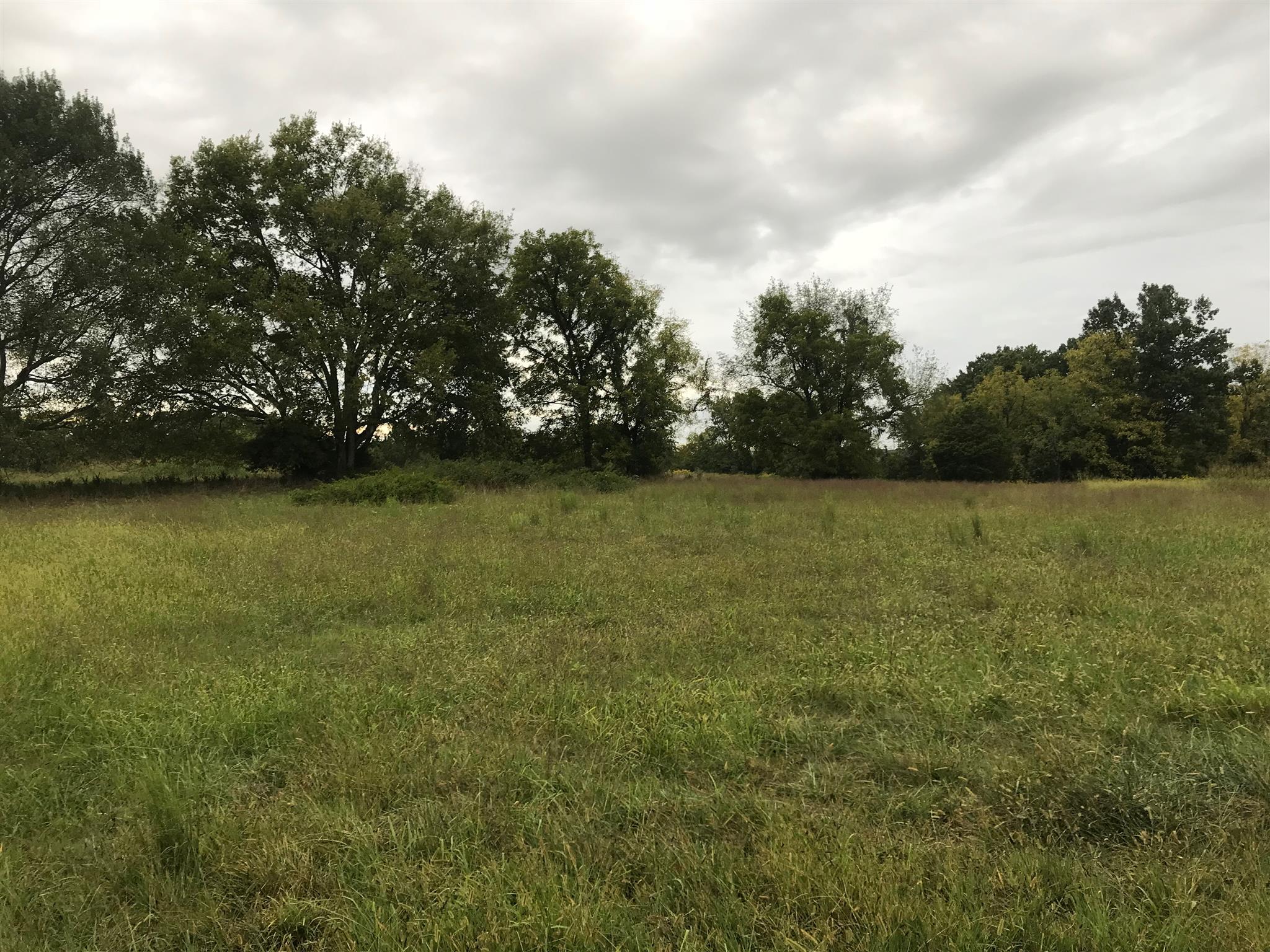 2382 Allisona Road Eagleville, TN 37060 - Photo 8 of 13 2382 Allisona Rd. Eagleville, TN 37060