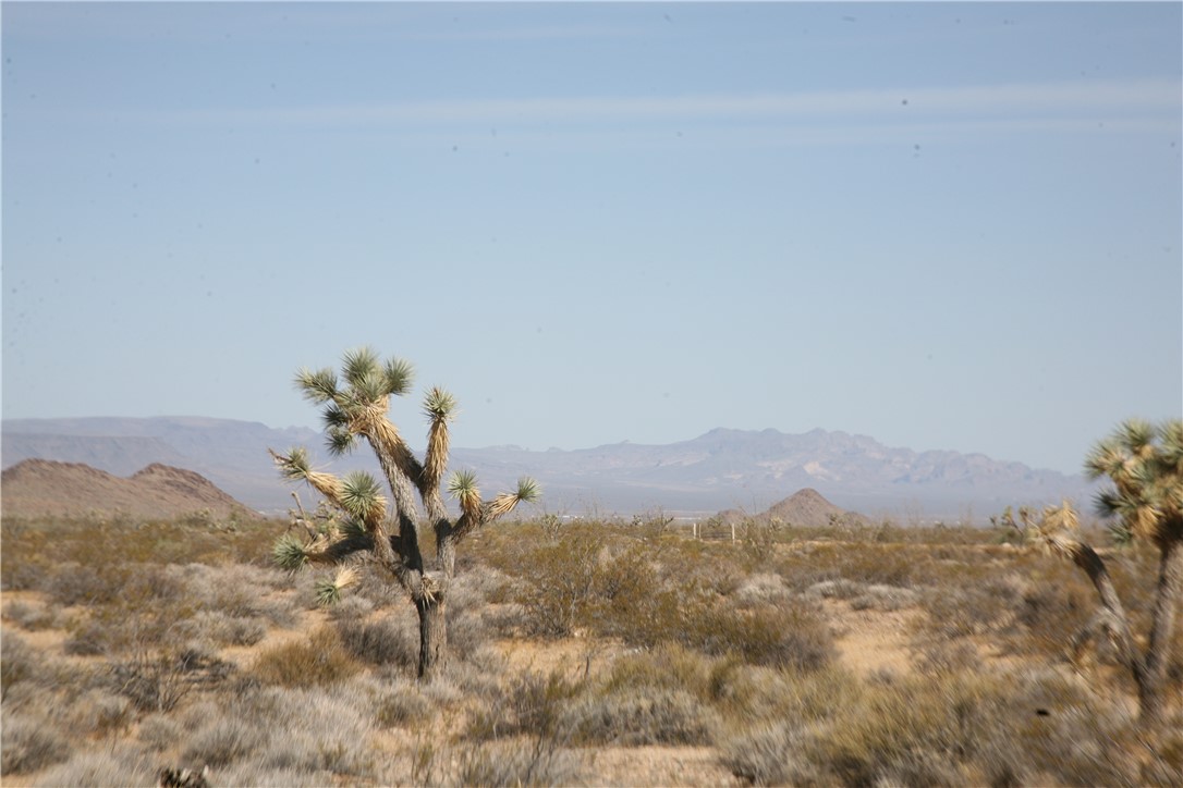 245-18-266 Alan Road Yucca, AZ 86438 - Photo 51 of 54