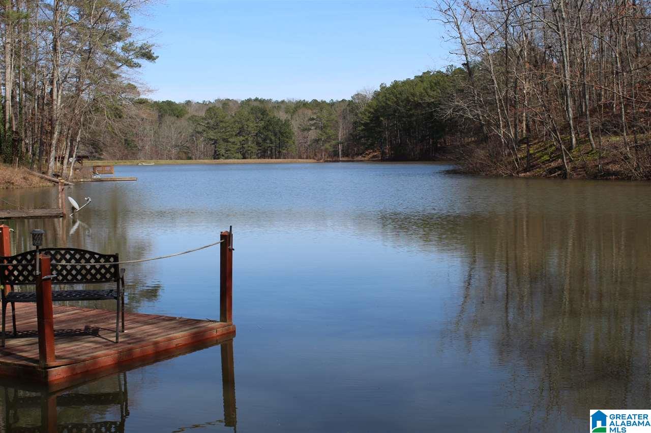 281 County Road 929 Delta, AL 36258 - Photo 21 of 49