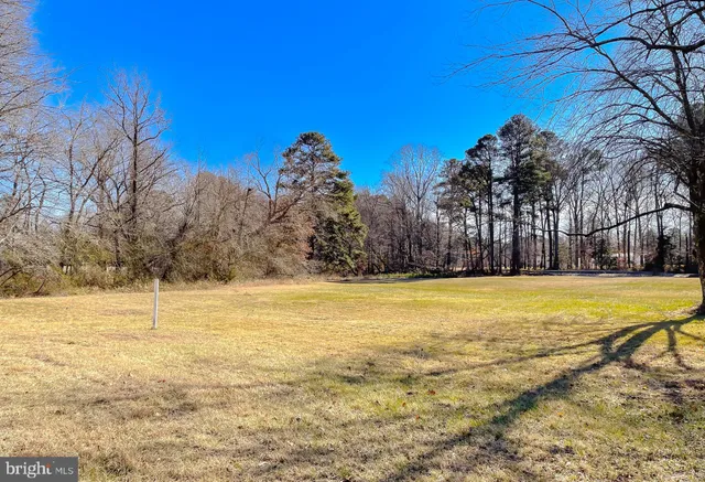 a view of a swimming pool with a house