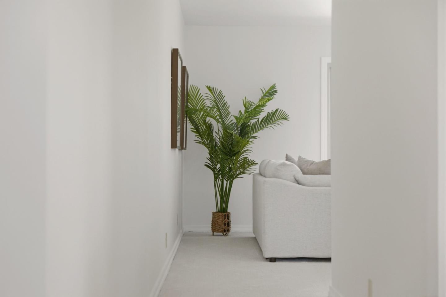 7577 Bollinger Road Cupertino, CA 95014 - Photo 30 of 56 a view of a potted plant in a white vase
