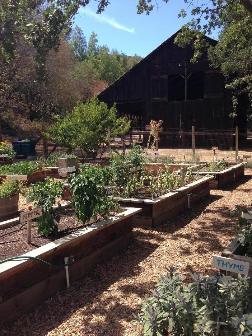 7577 Bollinger Road Cupertino, CA 95014 - Photo 56 of 56 a view of a garden with a wooden fence
