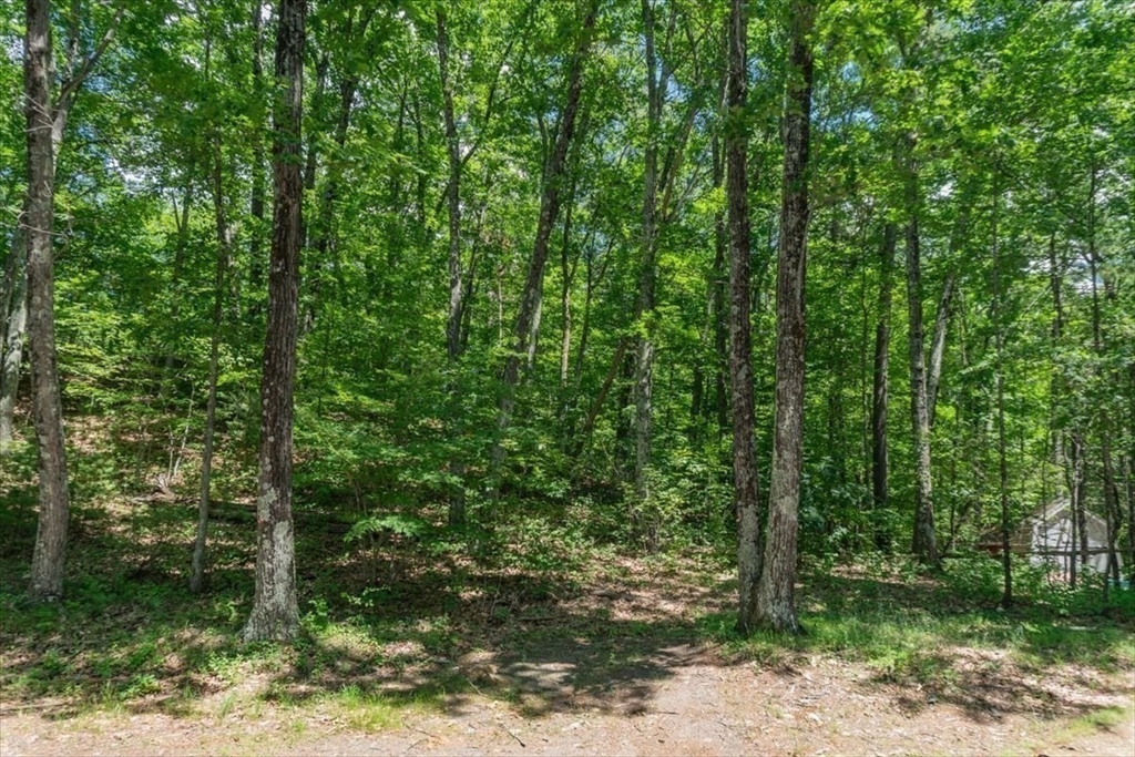 0 Alder Road Groton, MA 01450 - Photo 6 of 16