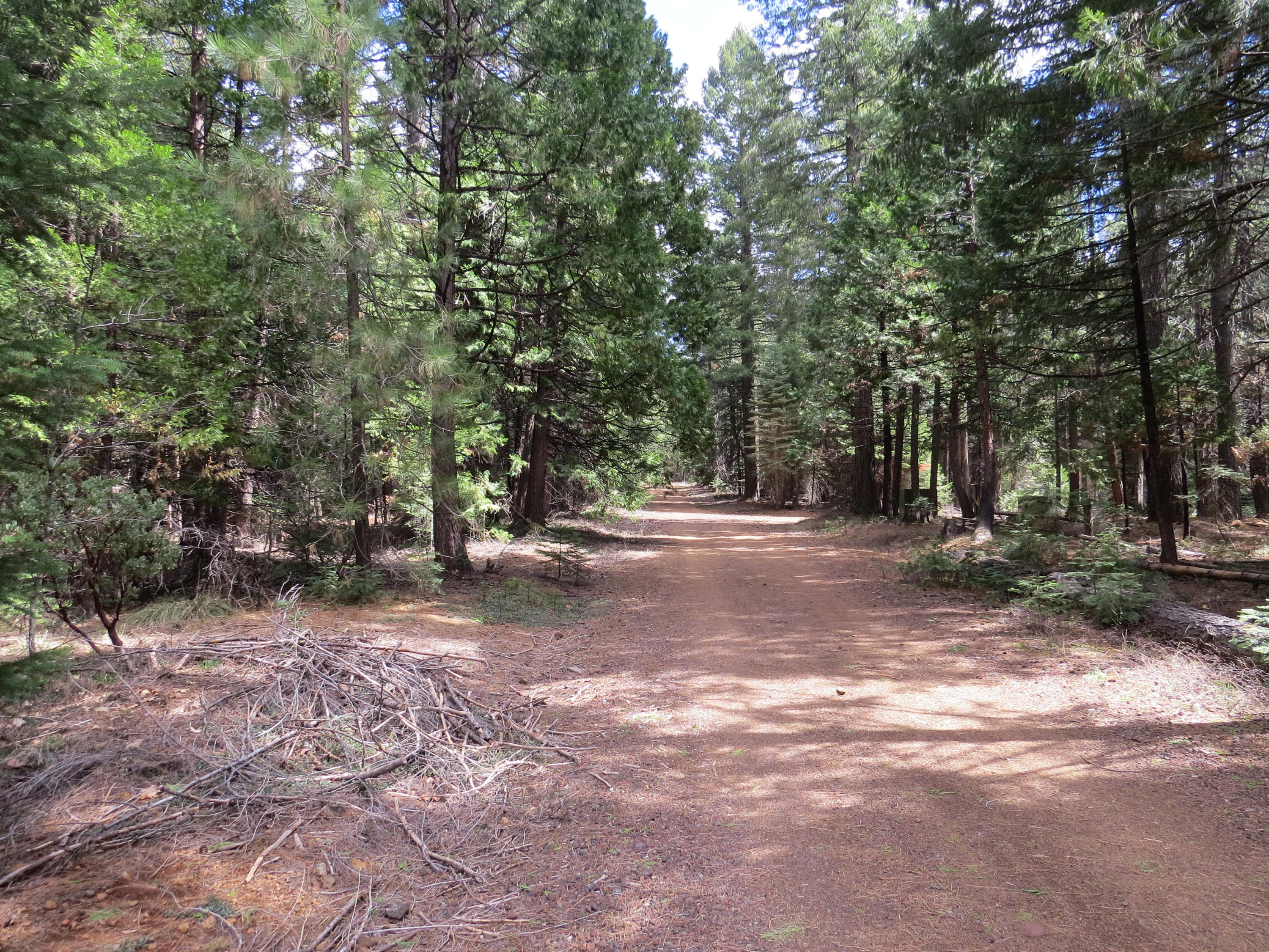 Lot #7 Trail Blazer Road Shingletown, CA 96088 - Photo 5 of 5 IMG_1507