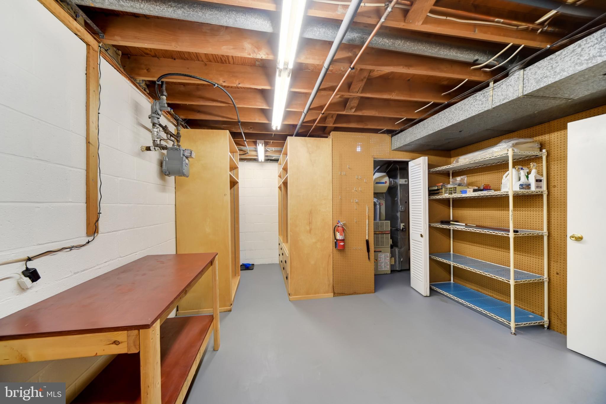 403 Old Orchard Road Baltimore, MD 21229 - Photo 26 of 37 Plenty of Additional Storage