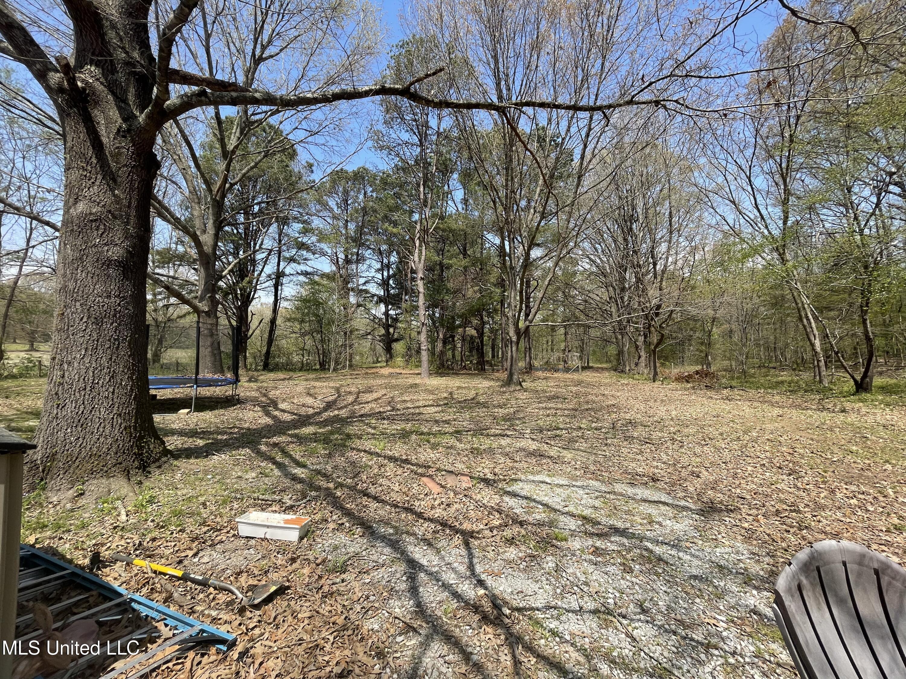2470 Star Landing Road Nesbit, MS 38651 - Photo 4 of 24 8D92E9EE-75FE-4520-A03F-03E812413FD4