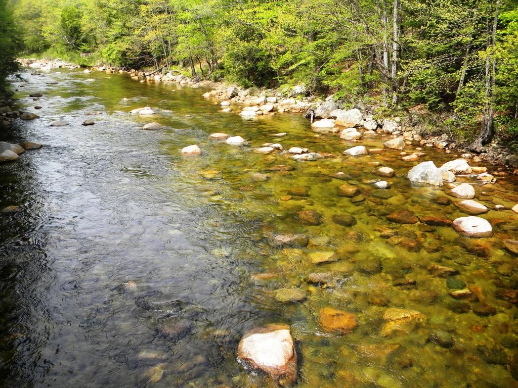 2 Bear Village Road Bartlett, NH 03812 - Photo 17 of 26 Gallery Image 17