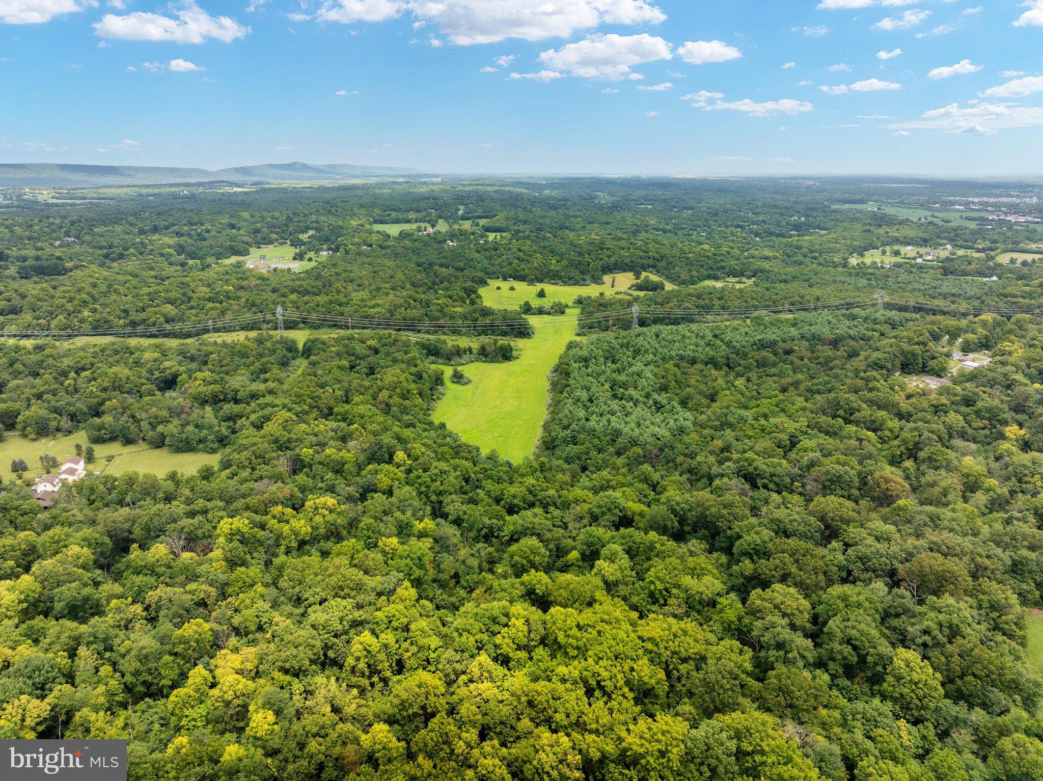 Lot 15 Rest Church Road Clear Brook, VA 22624 - Photo 19 of 29 Lush green landscape under a bright sky.