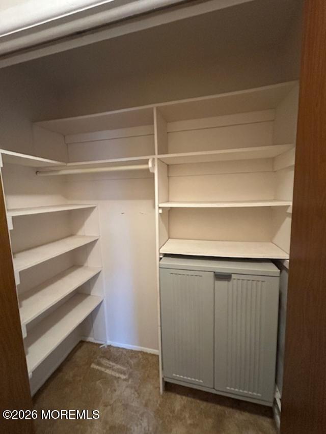 1 Deacon Court Whiting, NJ 08759 - Photo 9 of 12 a view of walk in closet with empty racks
