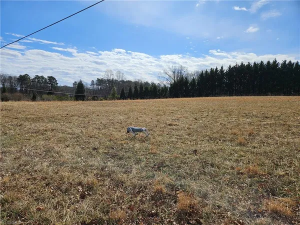 $50,000 | 0 Volunteer Road, Unit 2, Pinnacle, NC 27043