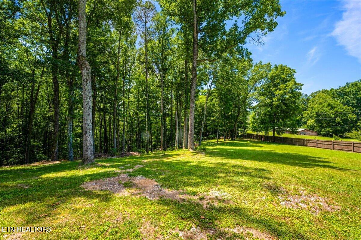 186 Indian Creek Road Jacksboro, TN 37757 - Photo 31 of 38 Back Yard