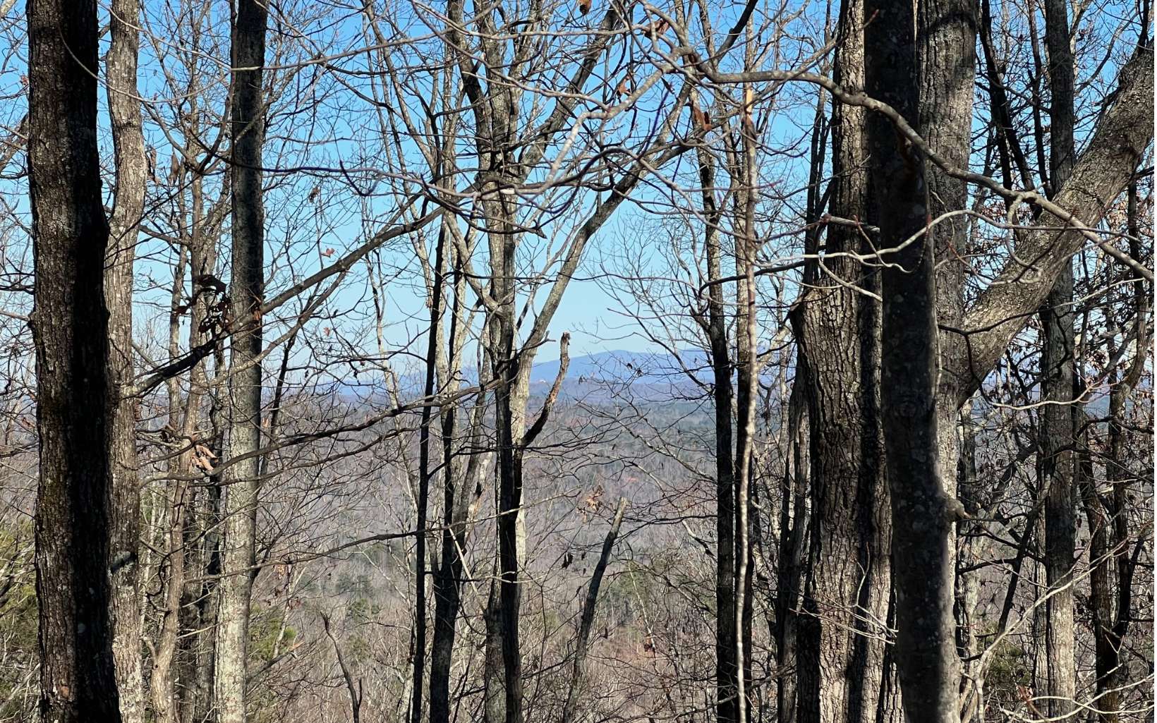 1089 Mayfield Lane Northeast Ranger, GA 30734 - Photo 2 of 4 Additional View