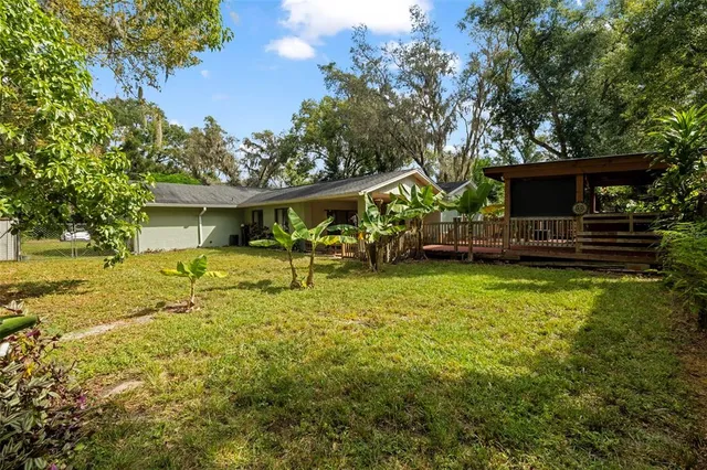 a living room with patio furniture and a potted plants