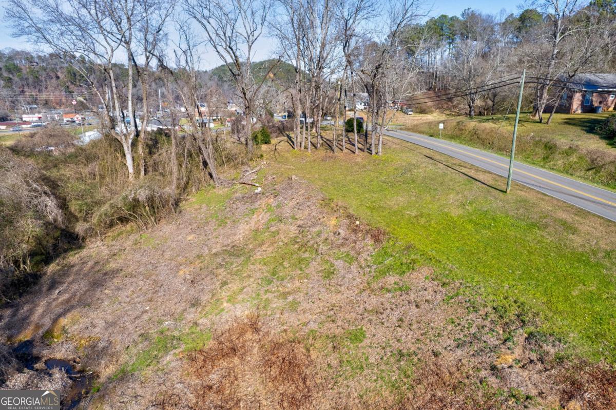 Tr-a 1st Avenue Ellijay, GA 30539 - Photo 14 of 17 a view of yard with trees