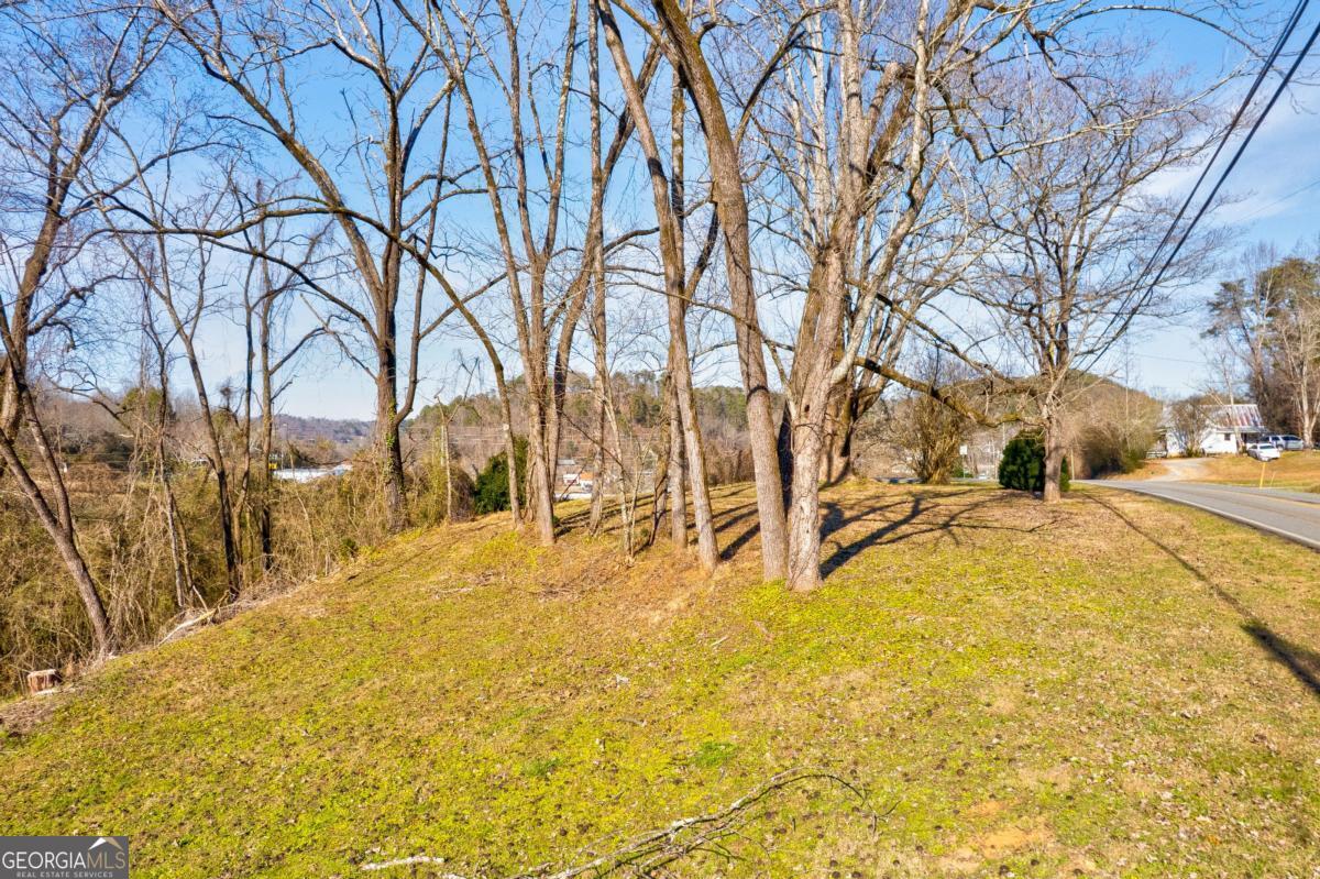 Tr-a 1st Avenue Ellijay, GA 30539 - Photo 15 of 17 a view of yard covered with snow