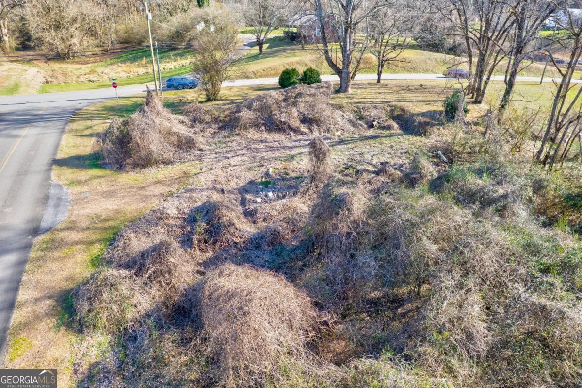 Tr-a 1st Avenue Ellijay, GA 30539 - Photo 17 of 17 a view of a yard with plants and large trees