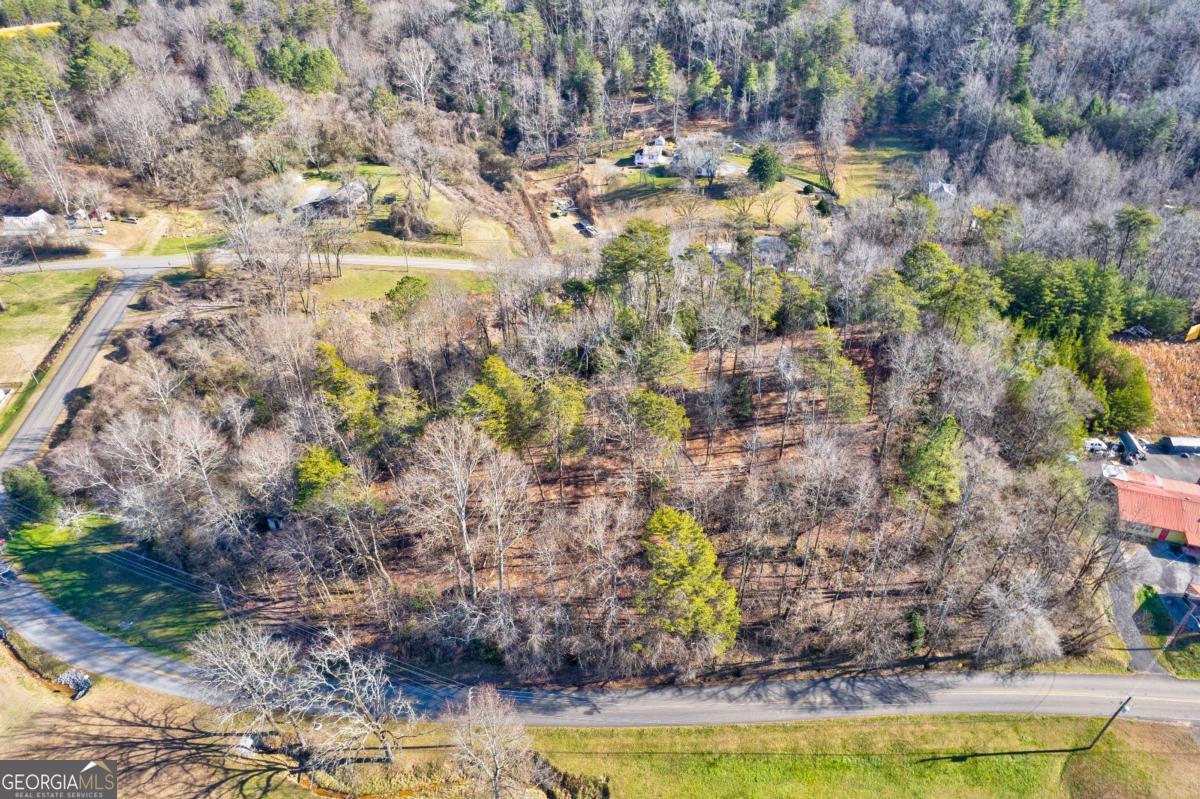 Tr-a 1st Avenue Ellijay, GA 30539 - Photo 3 of 17 a view of a yard with plants