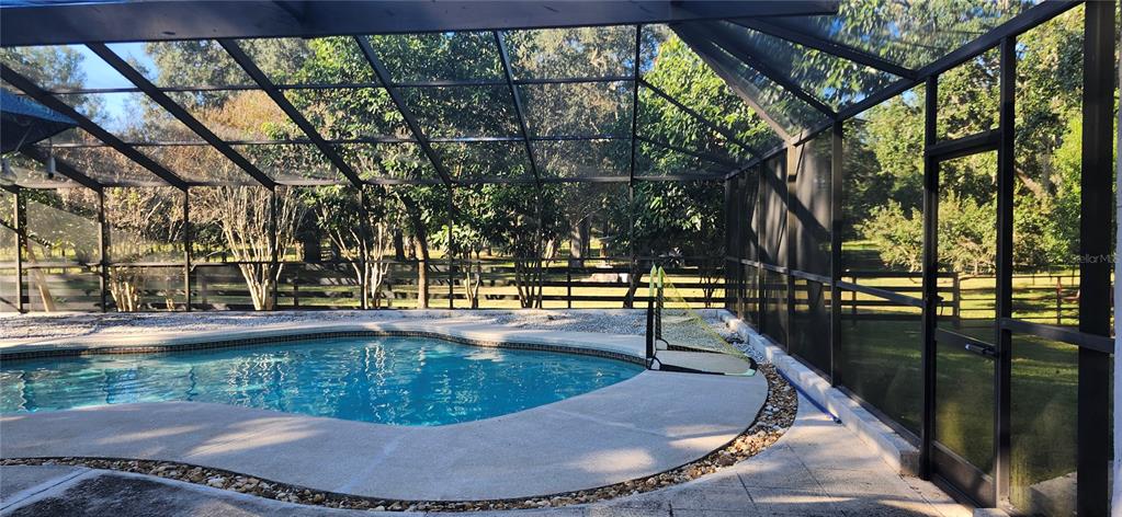 1804 East Wheeler Road Seffner, FL 33584 - Photo 20 of 25 a view of swimming pool with a patio and wooden fence