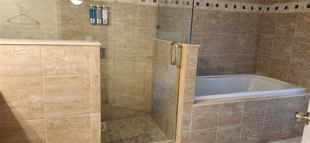 1804 East Wheeler Road Seffner, FL 33584 - Photo 24 of 25 a bath tub sitting next to a shower