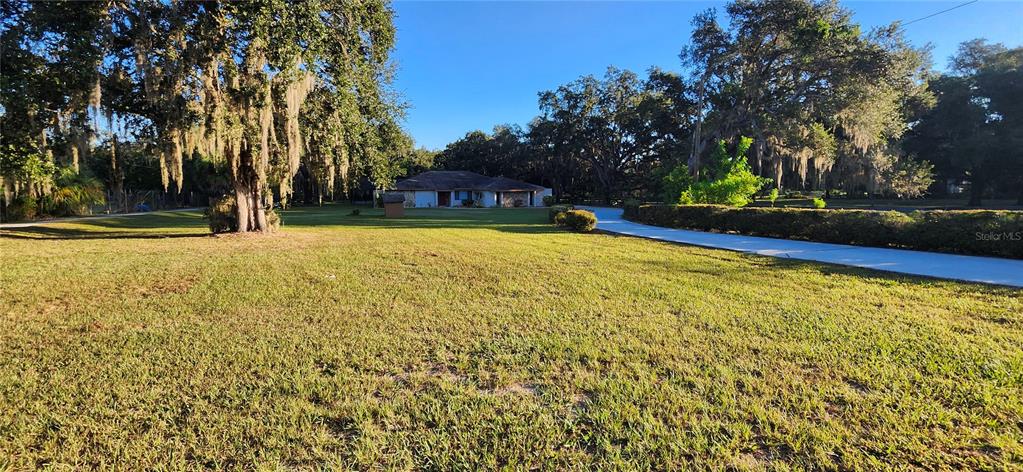 1804 East Wheeler Road Seffner, FL 33584 - Photo 9 of 25 a view of swimming pool with trees and wooden fence