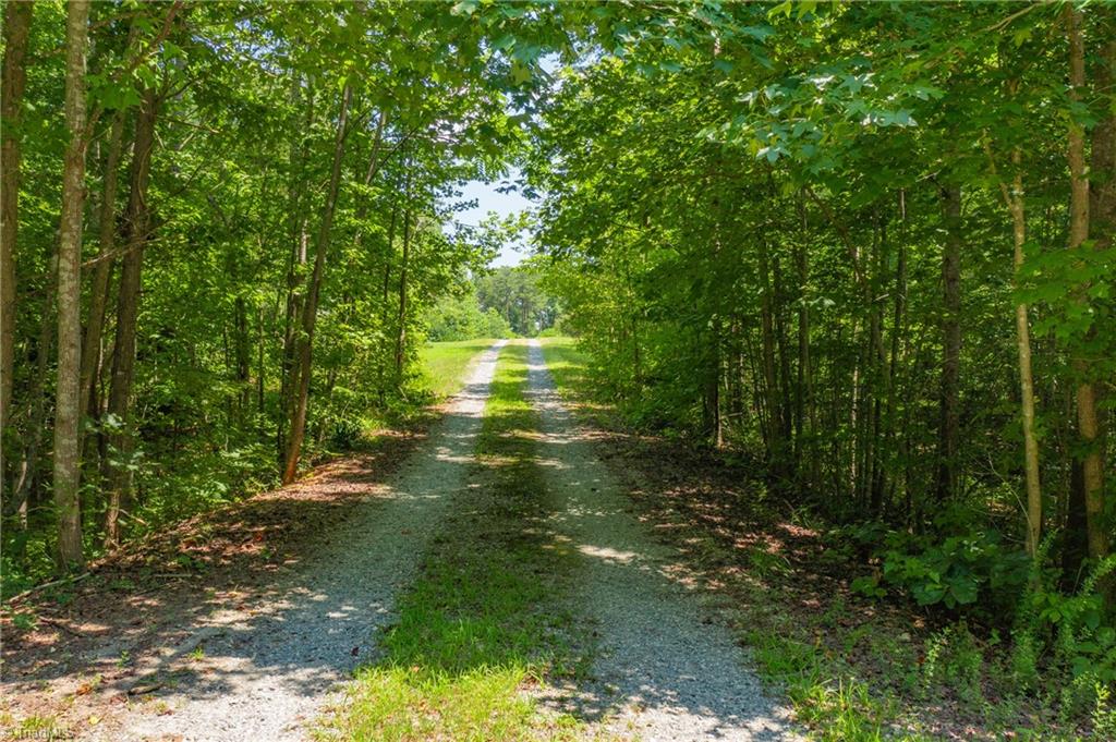 2559 Turner Road Reidsville, NC 27320 - Photo 12 of 48 Gallery Image 12