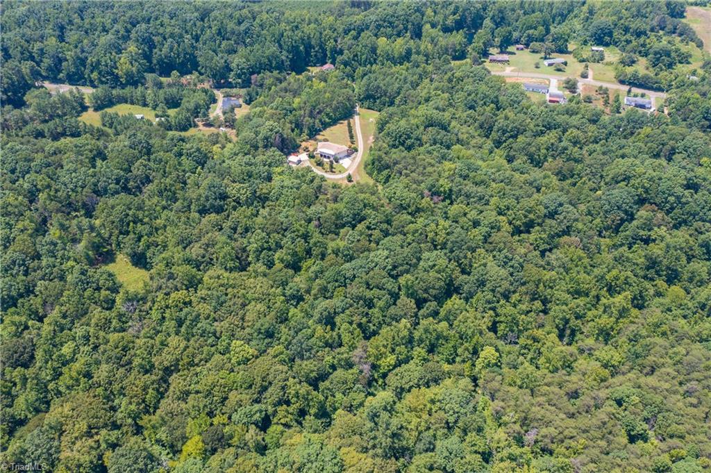 2559 Turner Road Reidsville, NC 27320 - Photo 6 of 48 Gallery Image 6