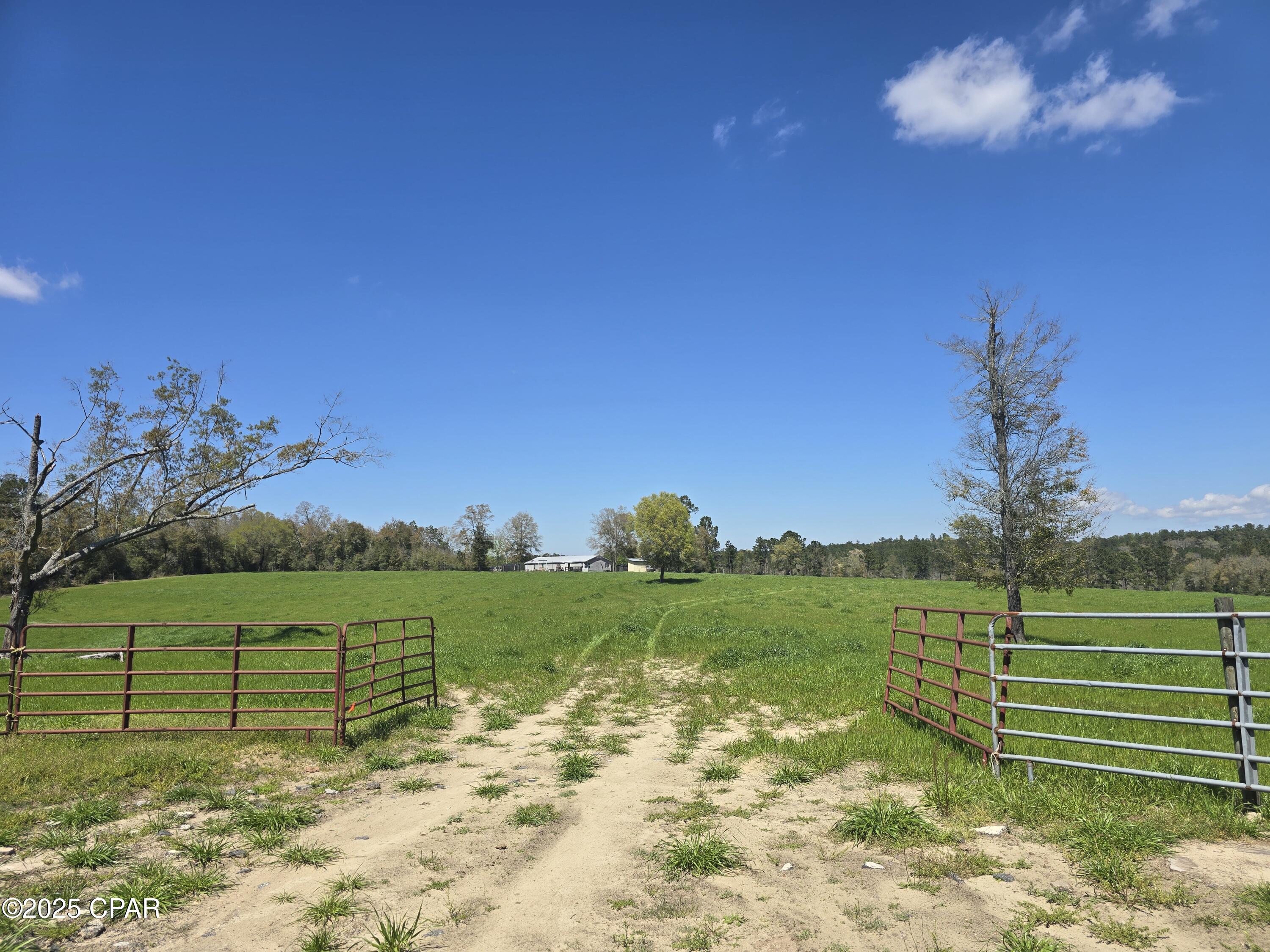 0 Posey Acres Road Chipley, FL 32428 - Photo 17 of 47