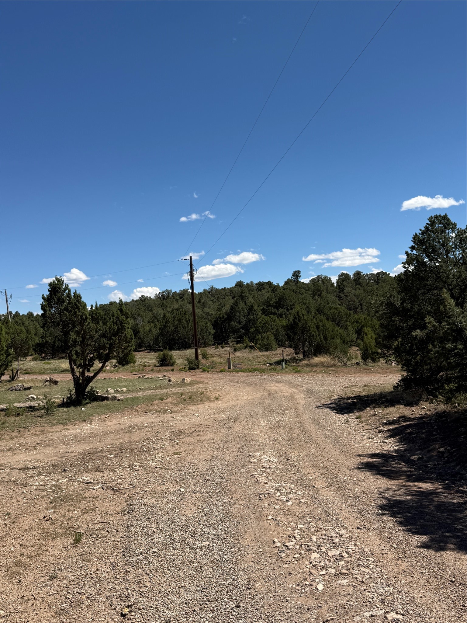 174 Hidden Valley Ranch Road Ilfeld, NM 87538 - Photo 3 of 30