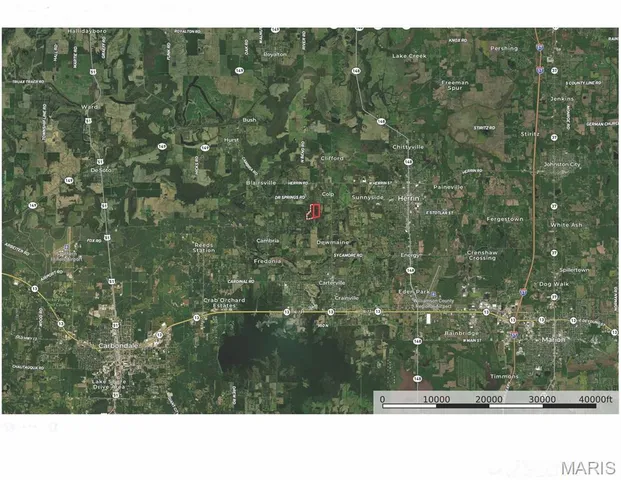 $1 | 13602 Greenbriar Road, Carterville, IL 62918