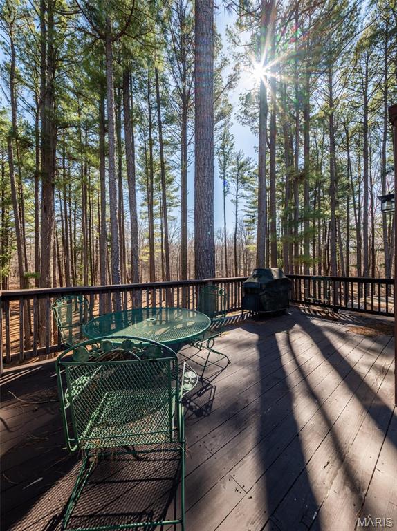 13602 Greenbriar Road Carterville, IL 62918 - Photo 46 of 79