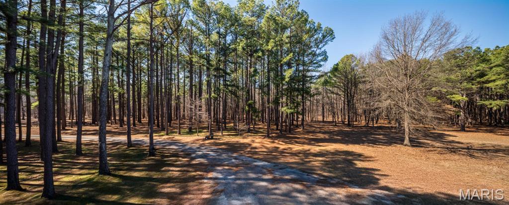 13602 Greenbriar Road Carterville, IL 62918 - Photo 47 of 79