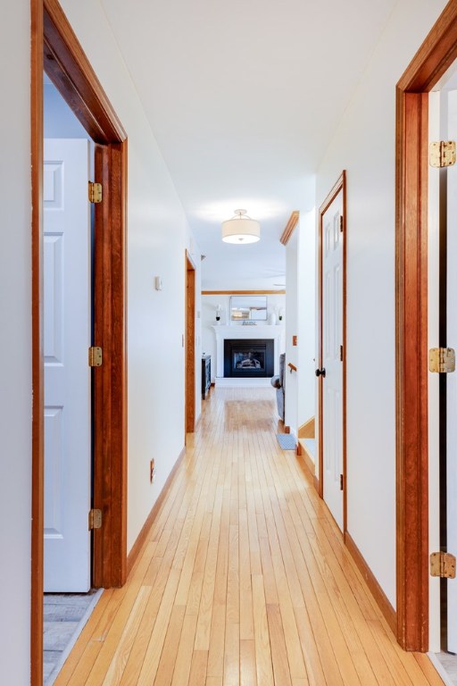3756 West Hill Road Erwin, NY 14870 - Photo 21 of 47 Gallery Image 21
