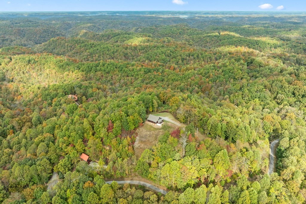 604 Hickory Hilham, TN 38568 - Photo 35 of 38 a view of lake view and mountain view