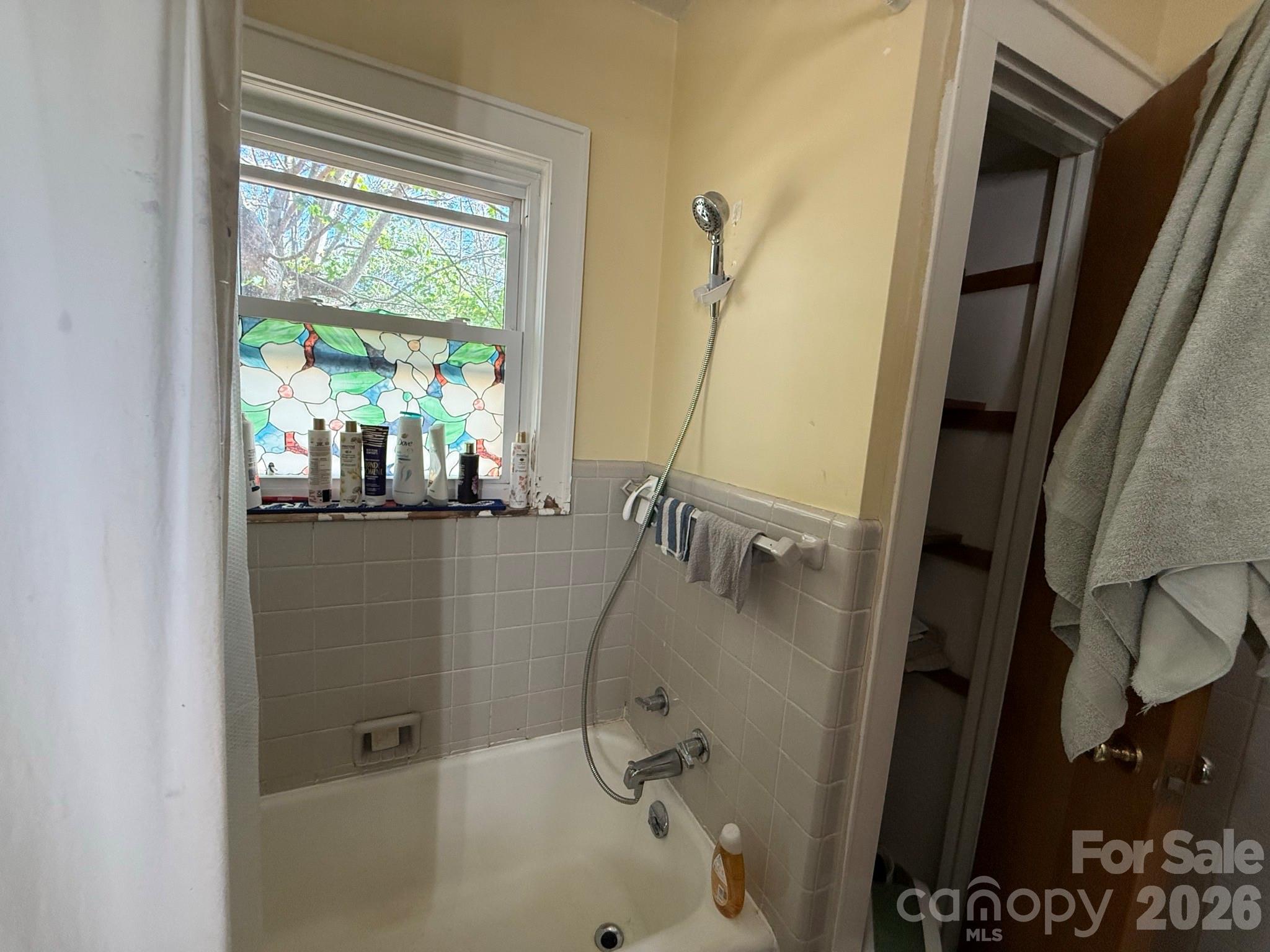 1582 Dutch Cove Road Canton, NC 28716 - Photo 30 of 47
