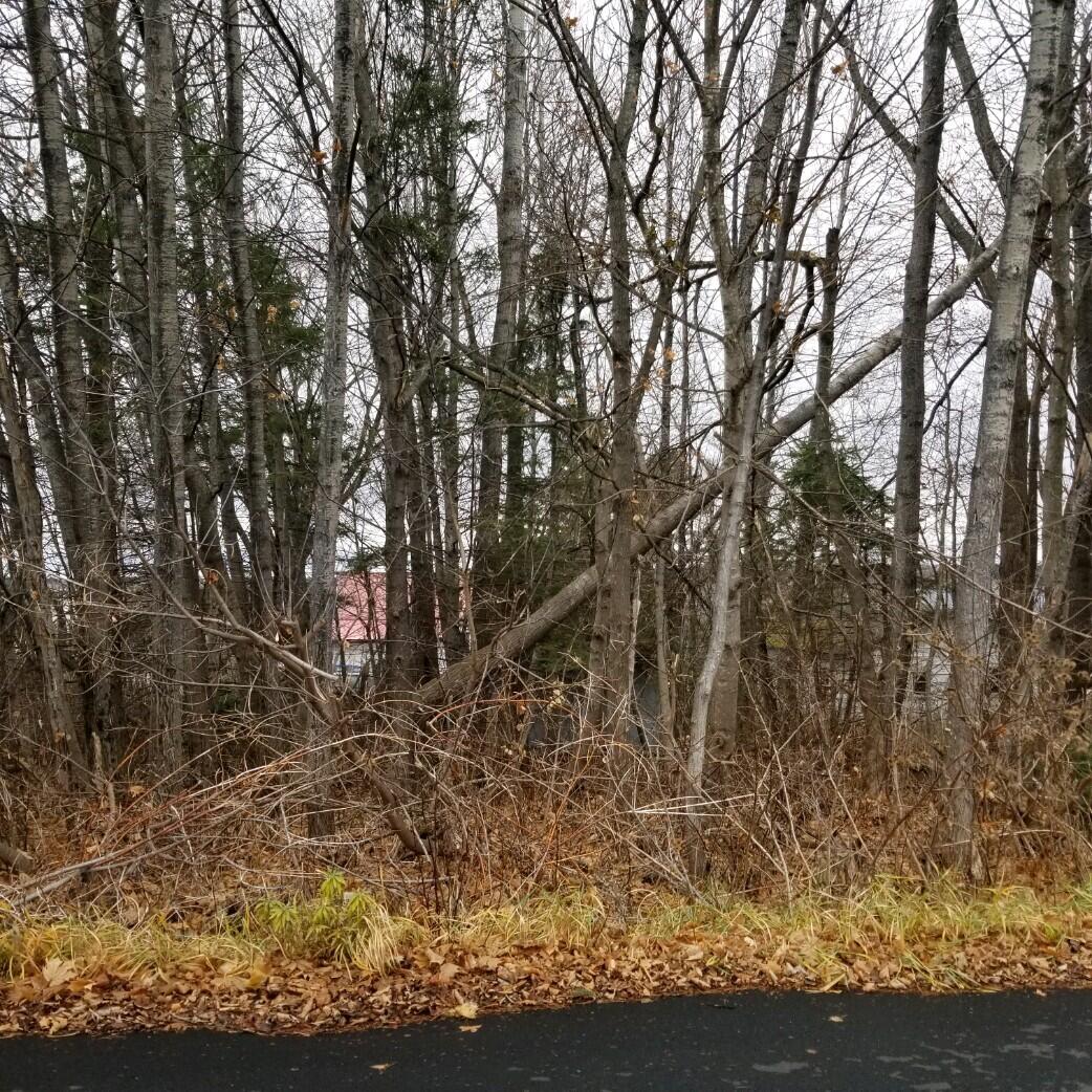 10 Webster Avenue Limestone, ME 04750 - Photo 3 of 4