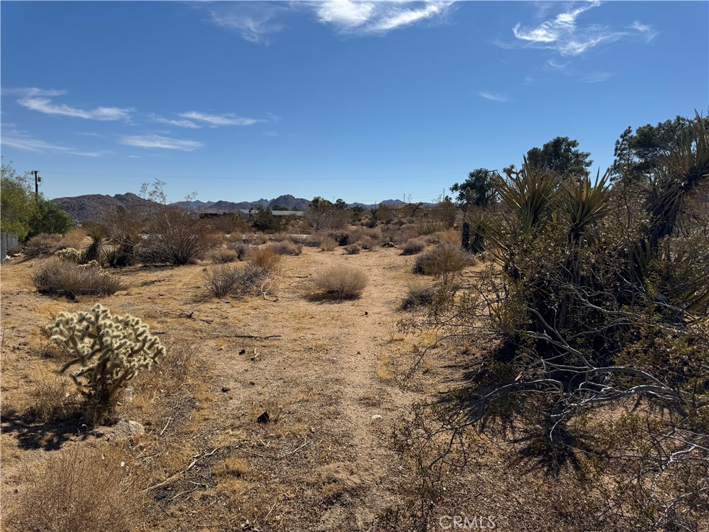7217 Sunny Vista Road Joshua Tree, CA 92252 - Photo 3 of 5