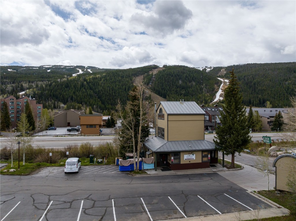 57 Rasor Drive Keystone, CO 80435 - Photo 19 of 22 an aerial view of a house with garden
