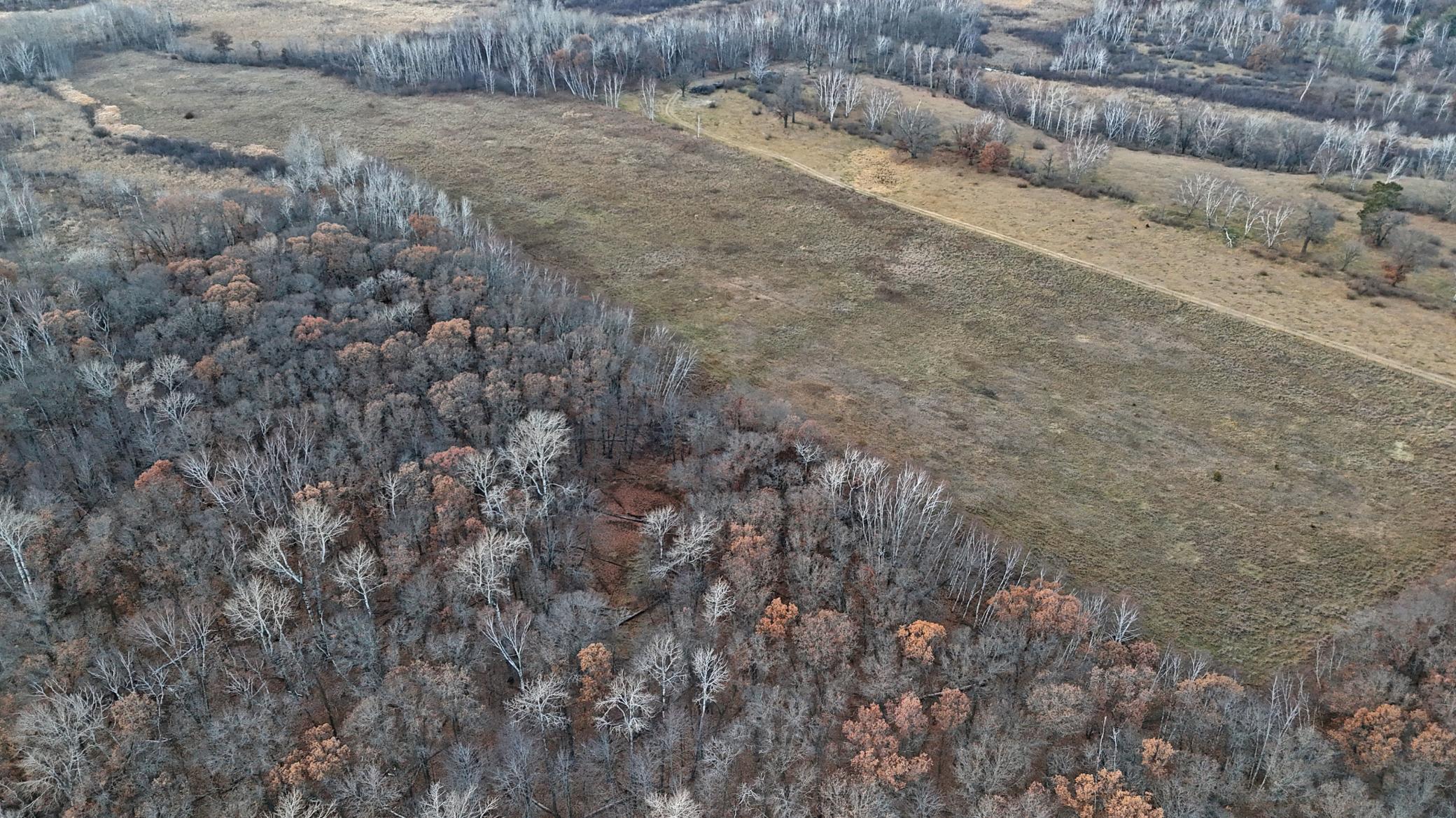 26-xxx 175th Avenue Fort Ripley, MN 56449 - Photo 23 of 46