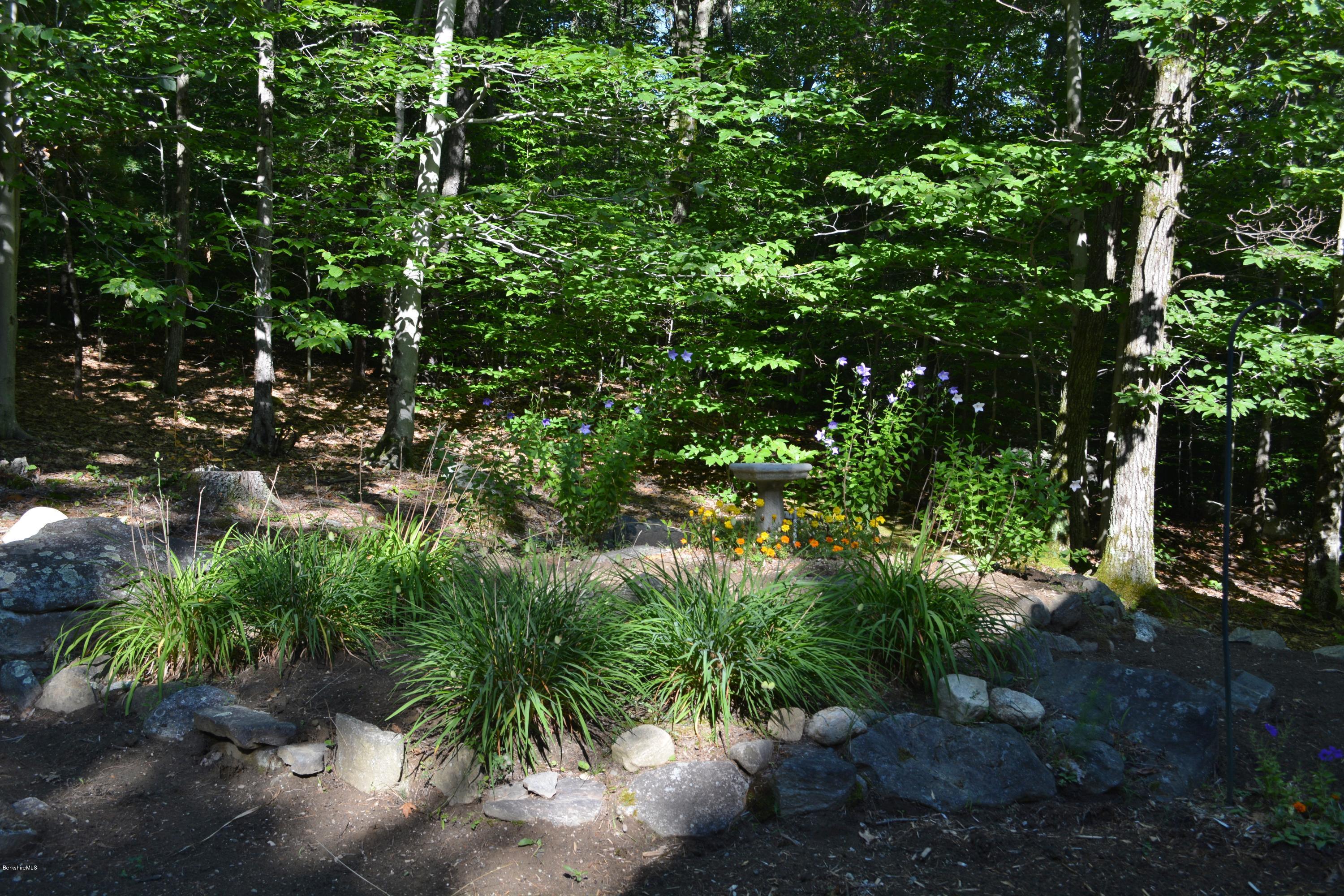 537 Norton Road Otis, MA 01029 - Photo 23 of 25 a backyard of a house with lots of green space