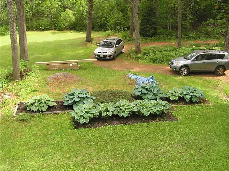 135 Dahlia Farm Road Monroe, ME 04951 - Photo 10 of 20 Land/Lot.