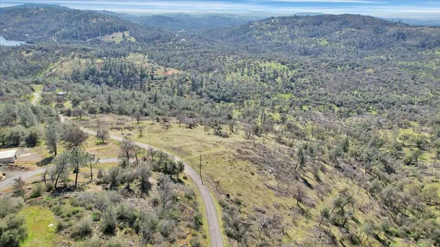a view of a dry yard
