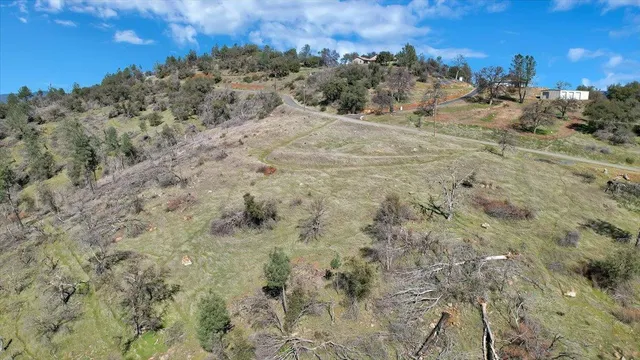 a view of a dry yard with trees
