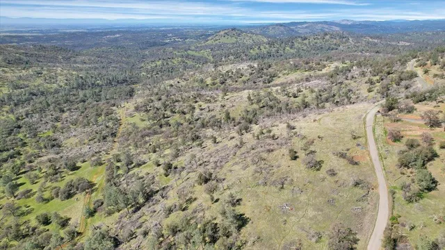 a view of a field with trees in the background